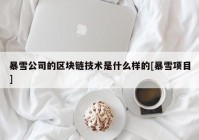 暴雪公司的区块链技术是什么样的[暴雪项目]